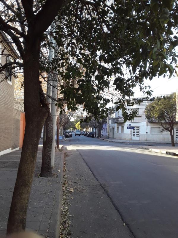 TEMPORARIO CORDOBA - image 4