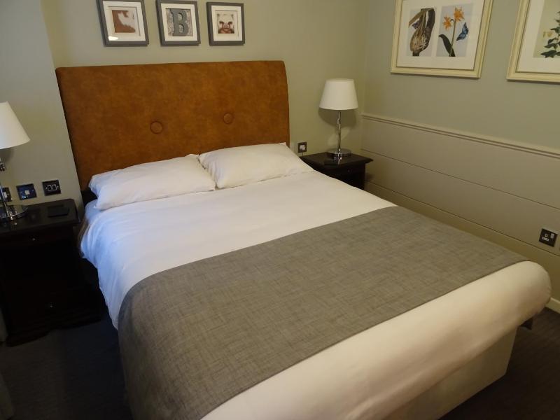 Superior Family Room (Sleeps 2 adults and 2 children) image 1