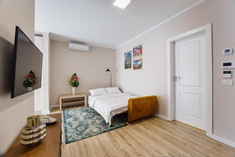 One-Bedroom Apartment image 4