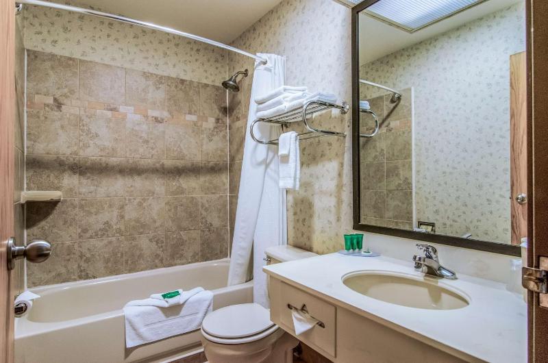 King Suite with Kitchenette - Non-Smoking image 2