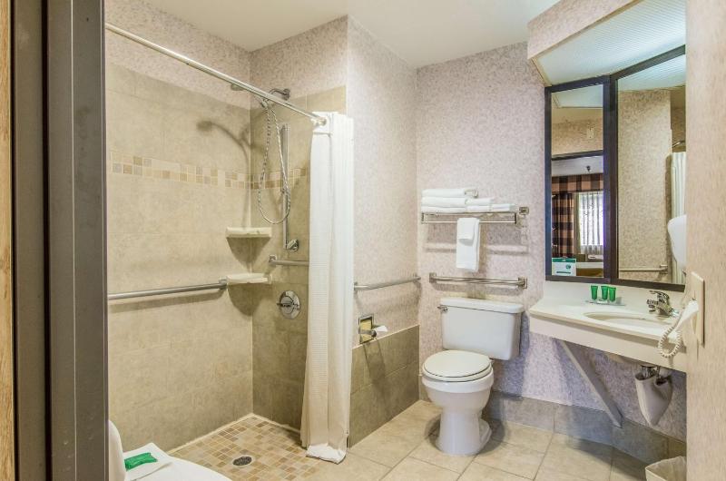 Double Room - Disability Access image 3