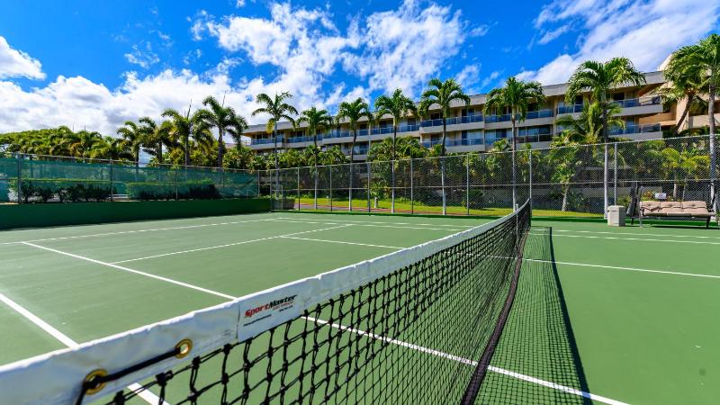 Castle At Maui Banyan - image 14