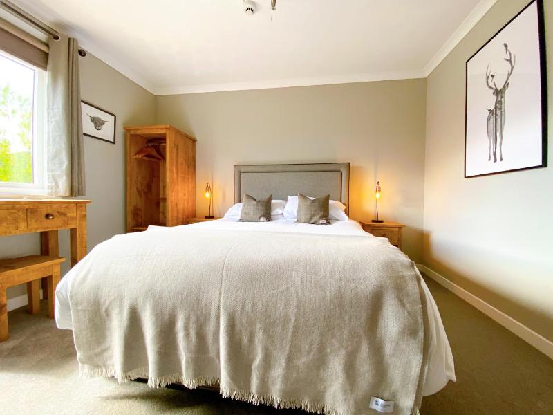 King Room image 1