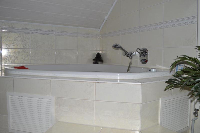 Family Suite image 3