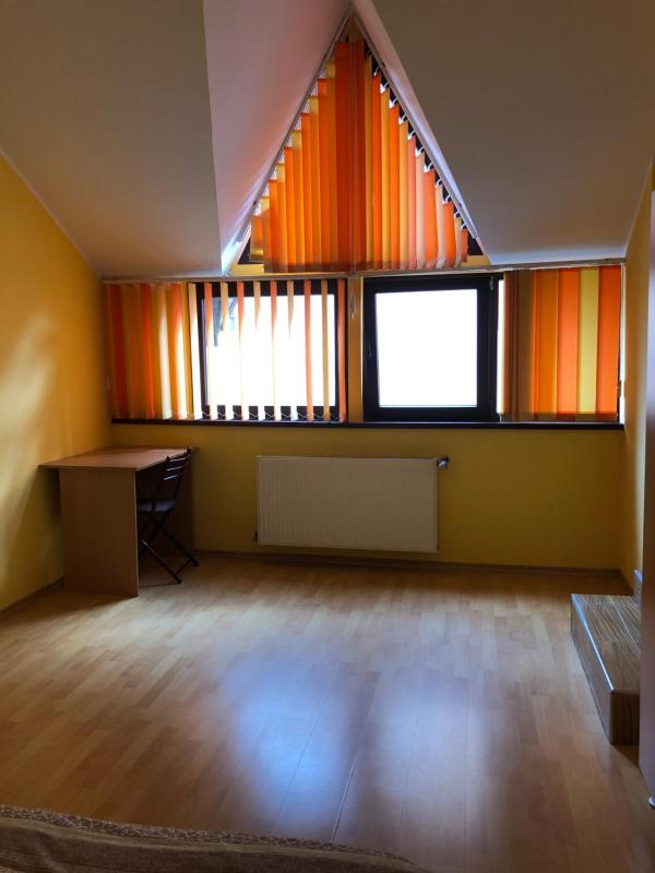 Pensiunea Haus Paltinul - image 11