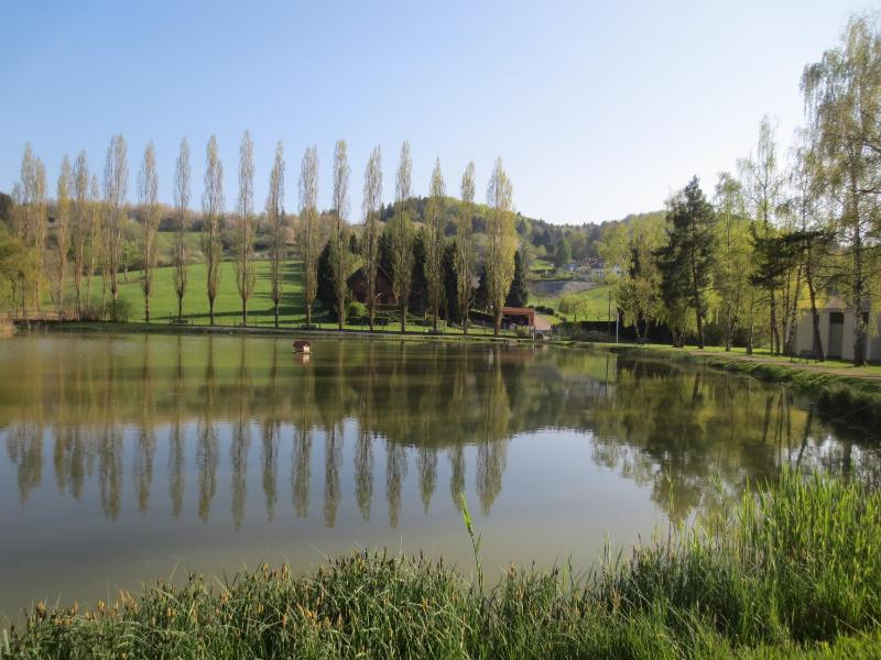 Deluxe Apartment with Forest View image 1