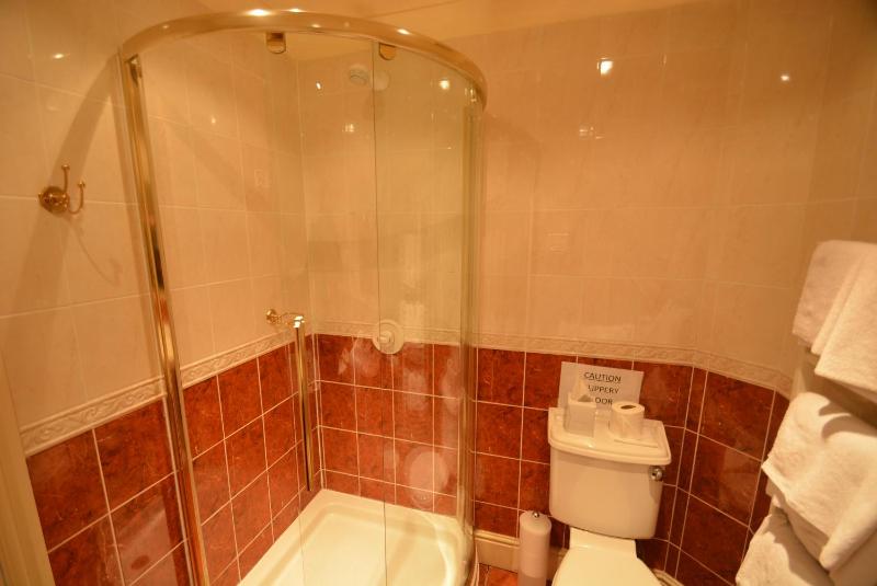 Executive Double Room image 2