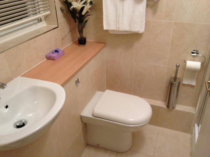 Large Double Room image 4