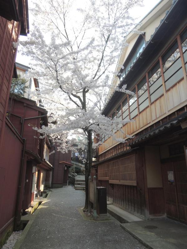 Kenroku House - image 6