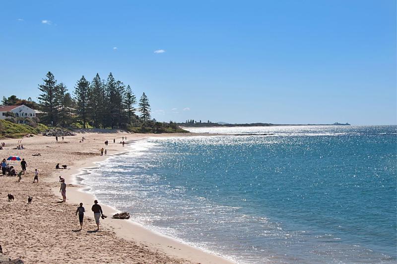 The Norfolks on Moffat Beach - image 10