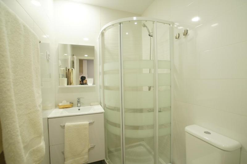 One-Bedroom Apartment image 4