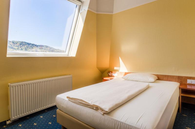 Superior Single Room image 3