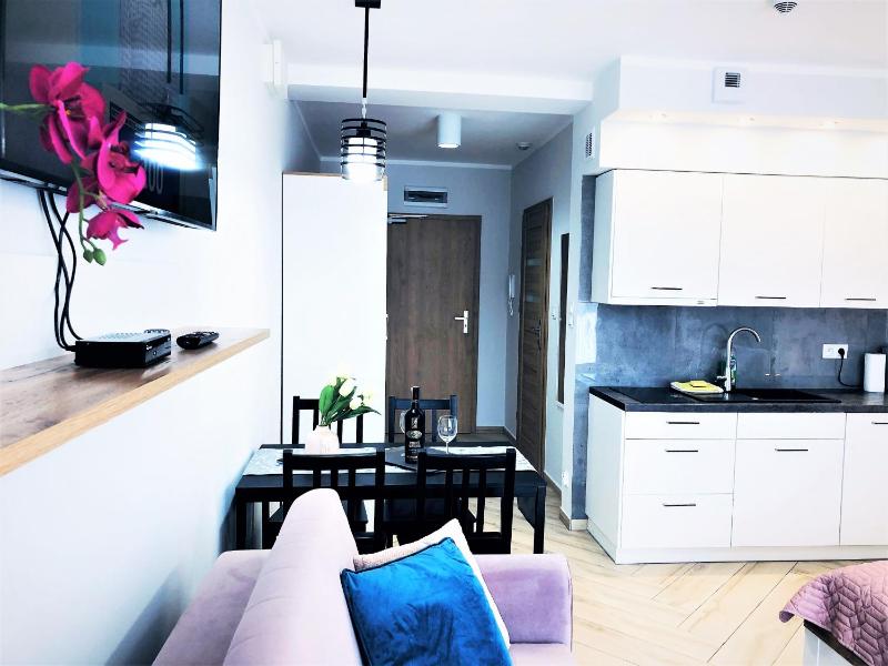 Apartament Superior Blue Przy Plaży- FREE Pool Saunas Jacuzzi Fitness Salzgrotte - image 3