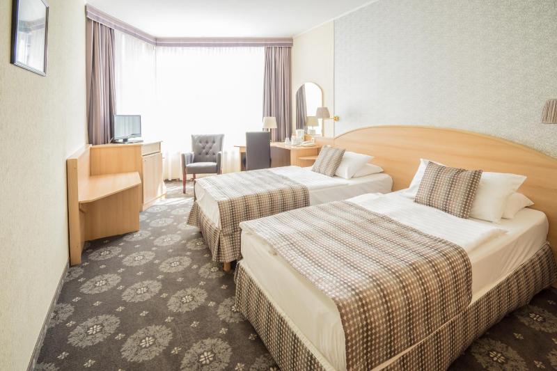 Deluxe Twin Room image 2