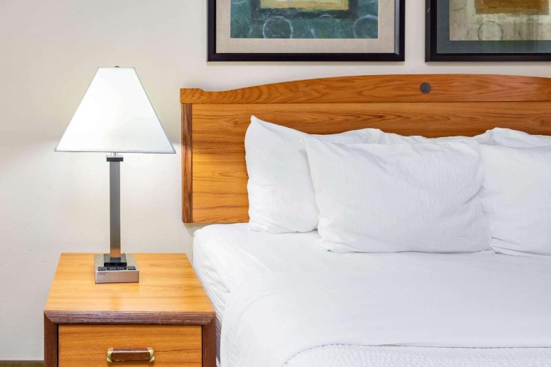 Double Room - Disability Access image 3