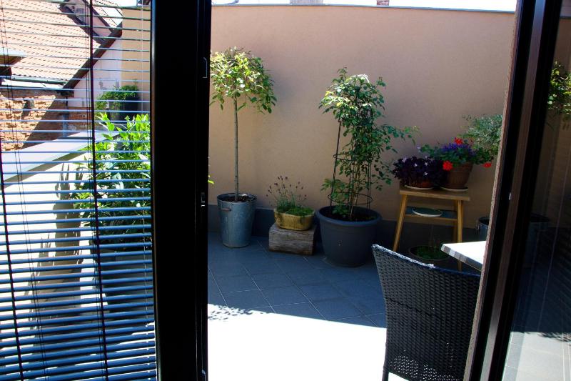 Apartment with Terrace image 4