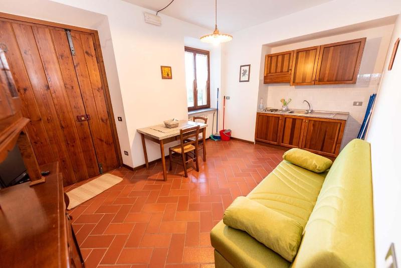 One-Bedroom Apartment image 4