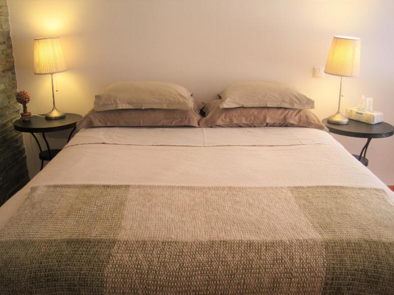 Double or Twin Room image 4