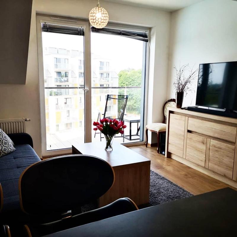 One-Bedroom Apartment image 3