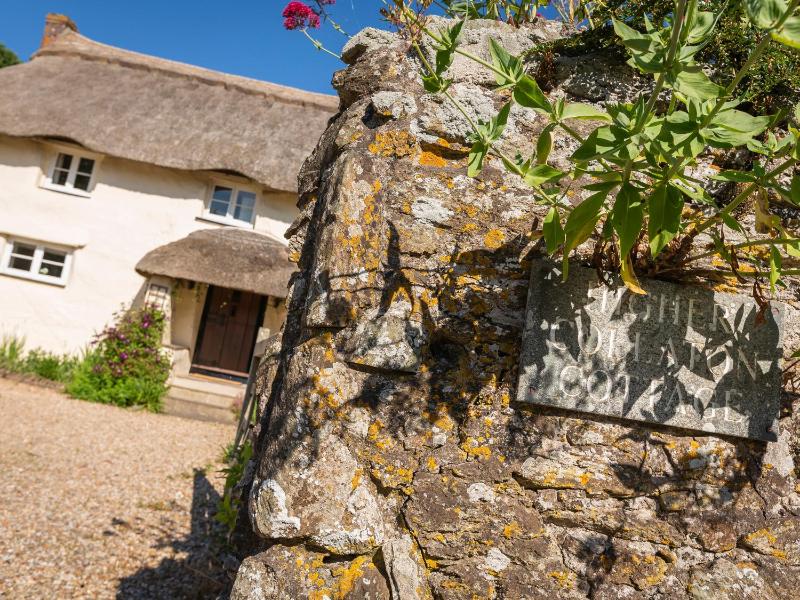 Higher Collaton Cottage - image 10