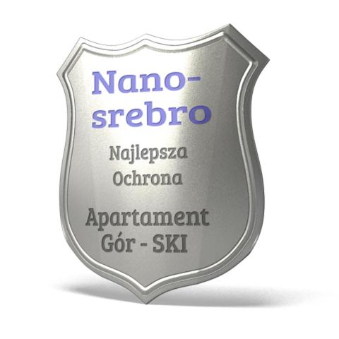 Gór-SKI Apartament - image 11