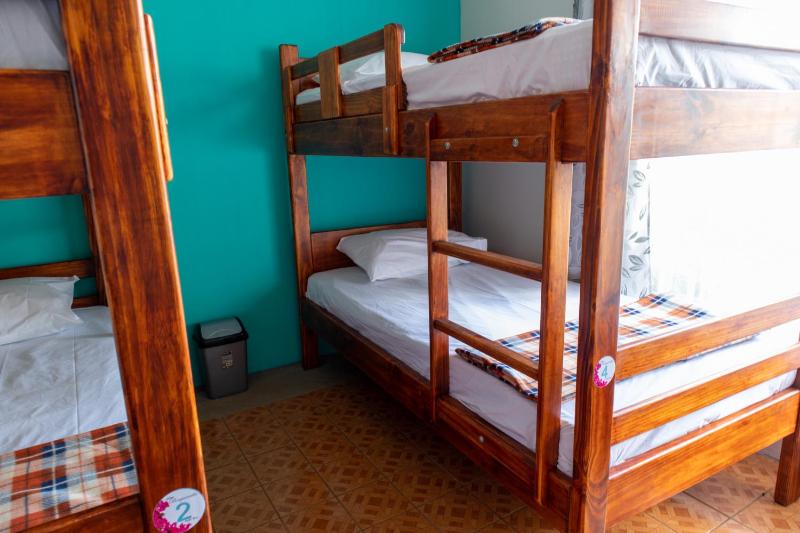 Hostel Bouganvilia Bed and Breakfast - image 11