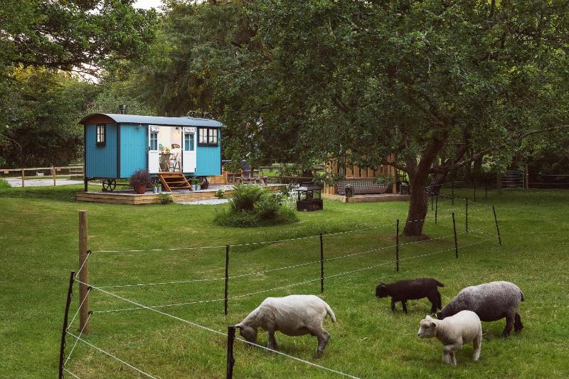 The Wriggly Tin & Baa Spa at Tregoose Old Mill - image 19