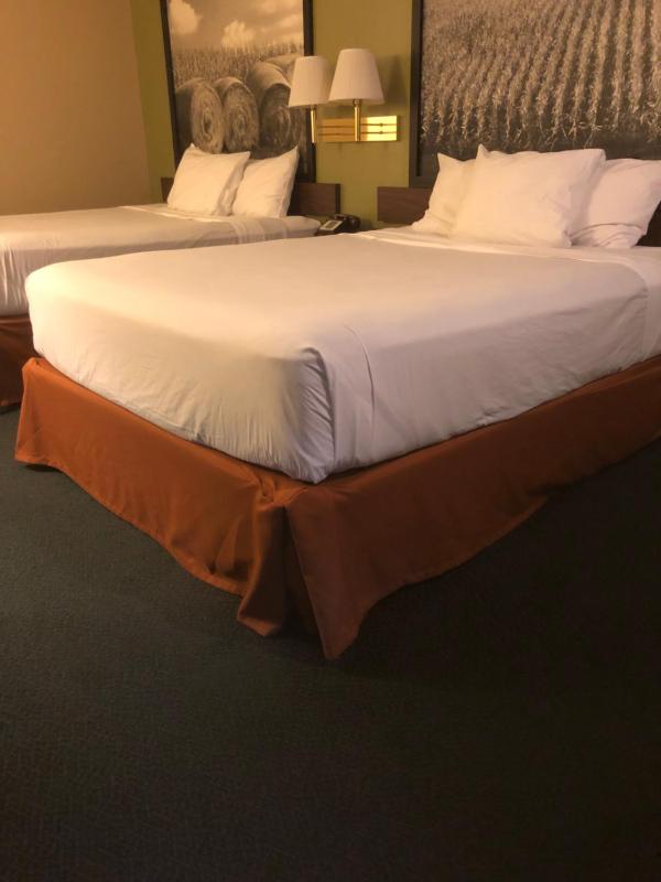 Standard Queen Room with Two Queen Beds image 1
