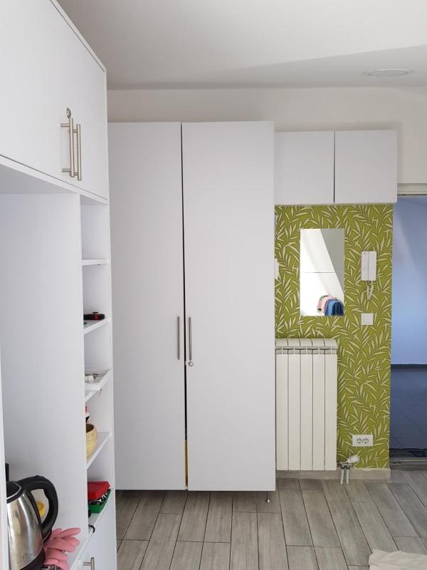 Deluxe Apartment image 4