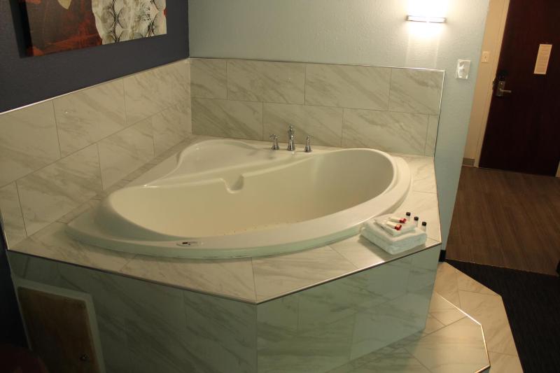 Deluxe King Studio Suite with River View - Non-Smoking image 3