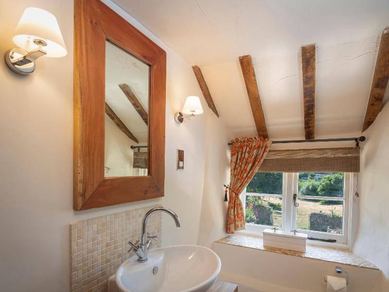 Higher Collaton Cottage - image 15