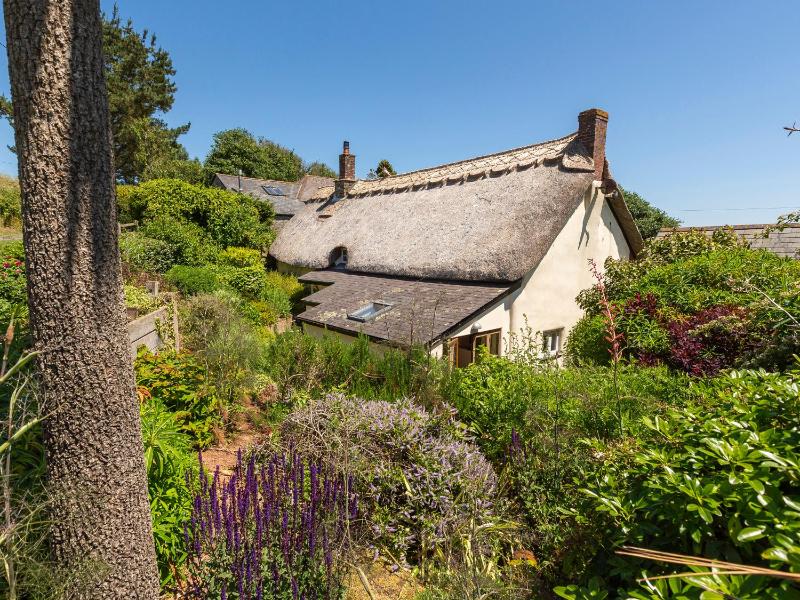 Higher Collaton Cottage - image 19