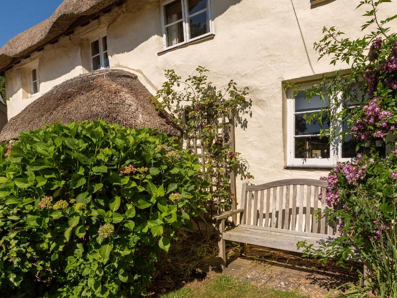 Higher Collaton Cottage - image 24