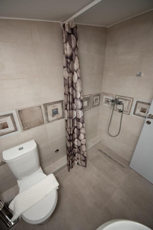 One-Bedroom Apartment image 3