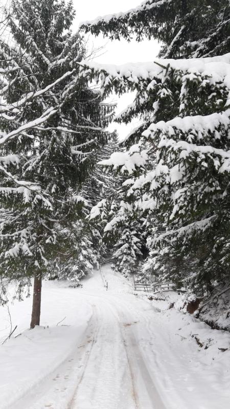 Two-Bedroom House image 2