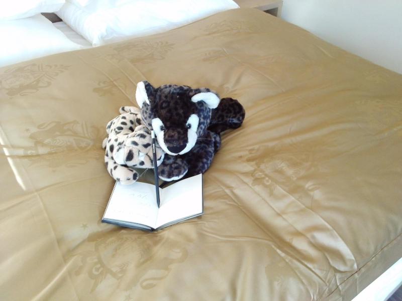 Junior Suite (2 Adults + 1 Child) image 3