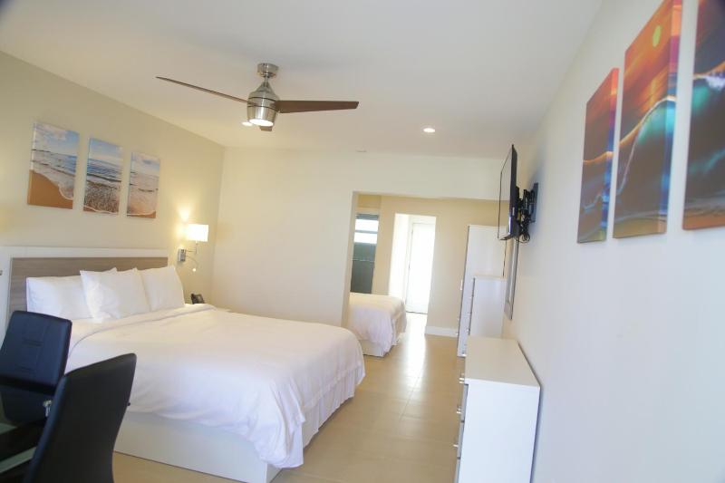 Diane Oceanfront Suites - image 2