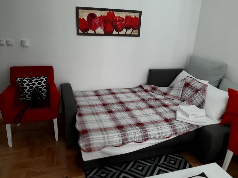 One-Bedroom Apartment image 3