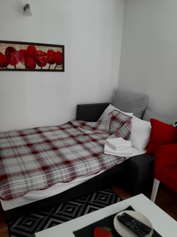 One-Bedroom Apartment image 2