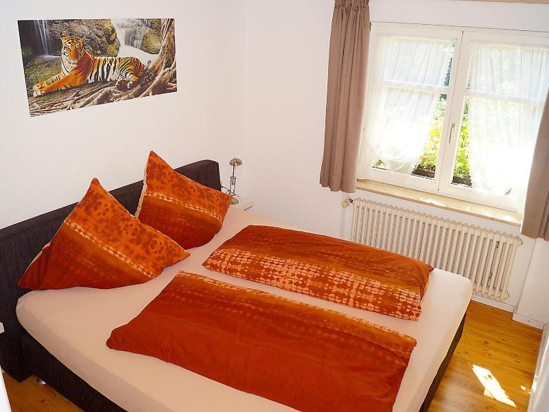 One-Bedroom Apartment image 4