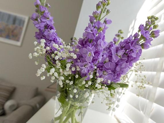 Deluxe Apartment image 4