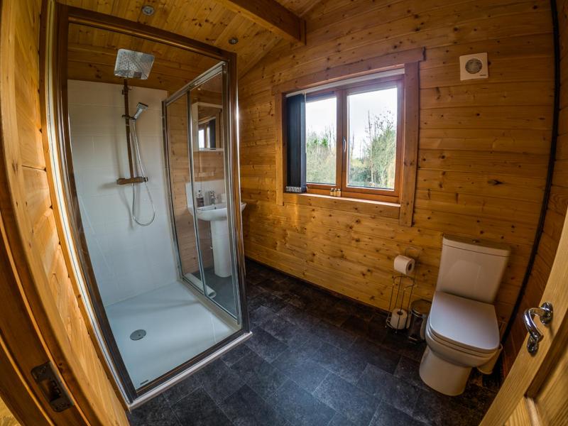 Apartment with Shower image 2