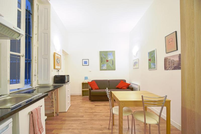 Quiet Studio In The Center Of Lyon - image 3