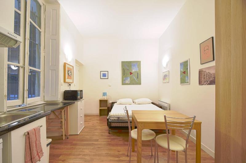 Quiet Studio In The Center Of Lyon - image 9