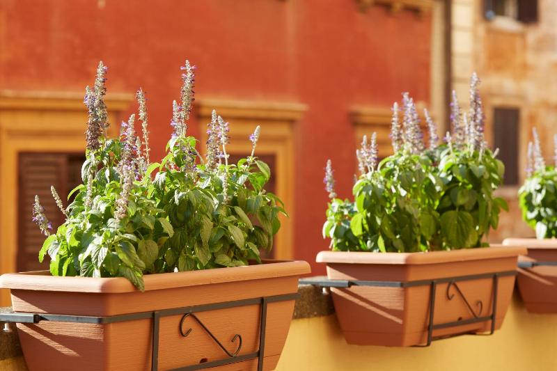 Double Room with Terrace image 4