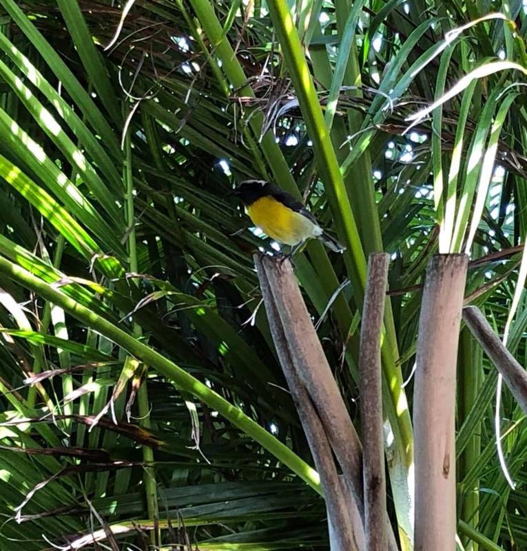 Shambala Lodge - image 16