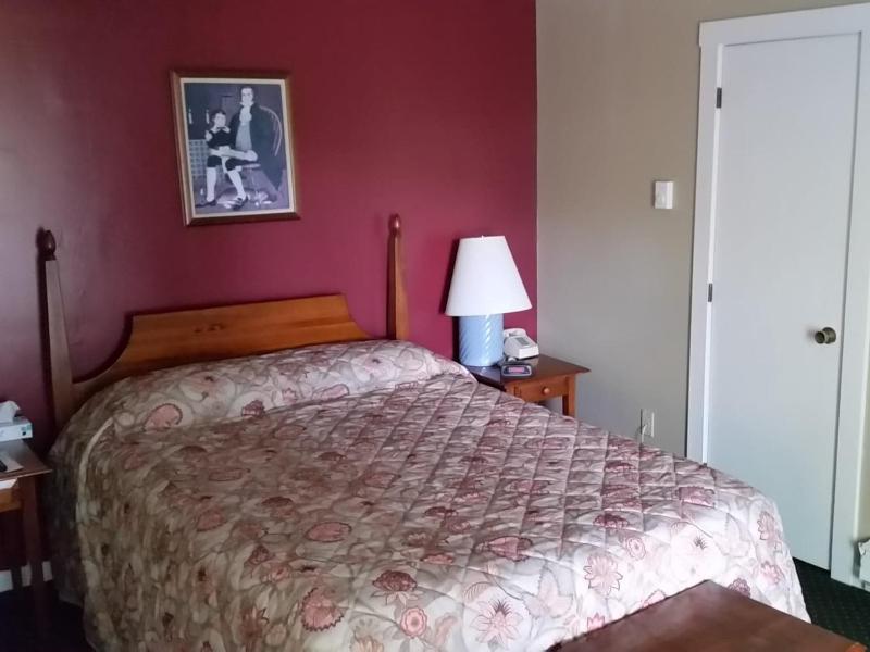One-Bedroom Apartment image 4