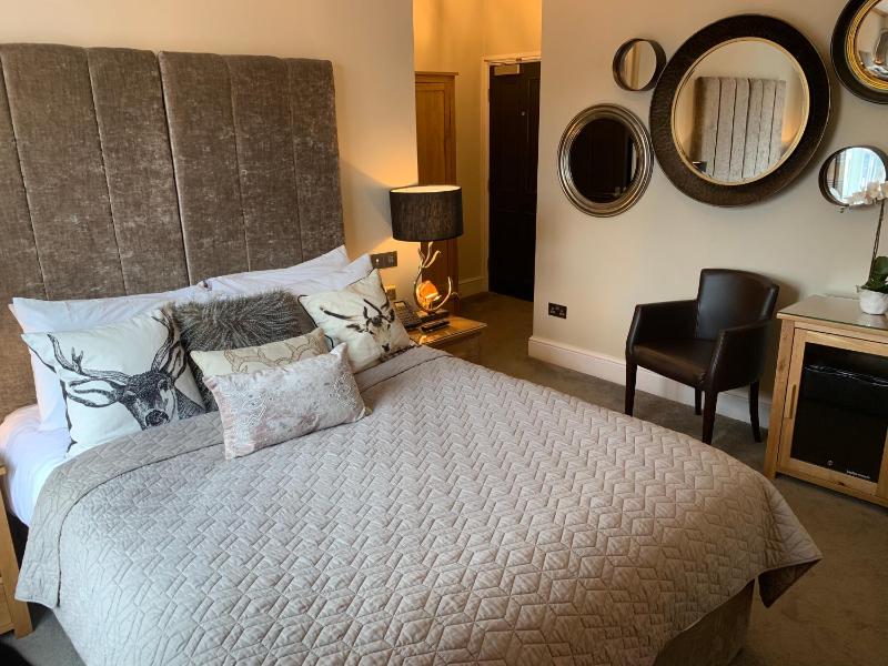 King Room image 1