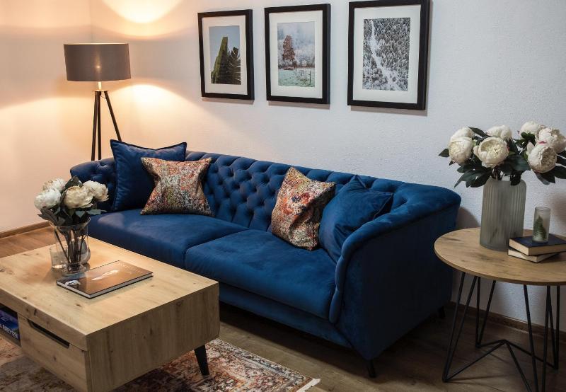 One-Bedroom Apartment image 4