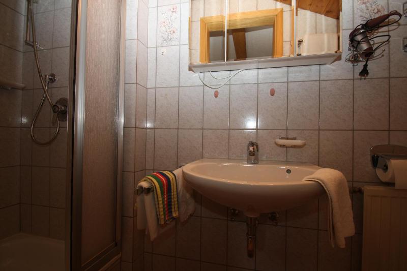 One-Bedroom Apartment with Sofa Bed image 2